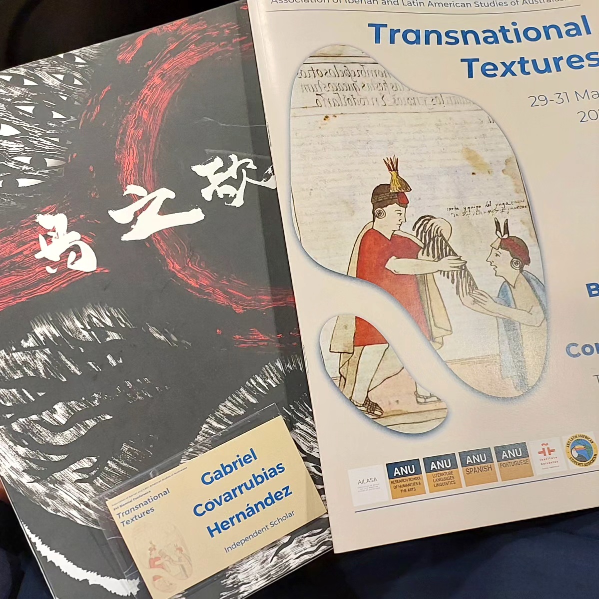 The Songs of Birds and the AILASA conference programme